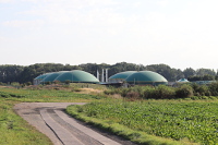 BGA in Sachsen klein
